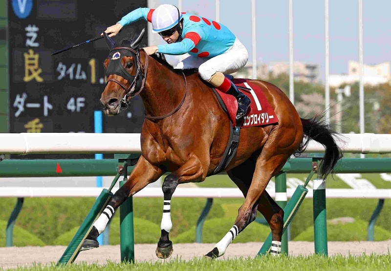 R8・サンケイスポーツ杯阪神牝馬Sレースパネル エンブロイダリー