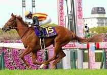 Ｒ8・桜花賞レースパネル　スターアニス