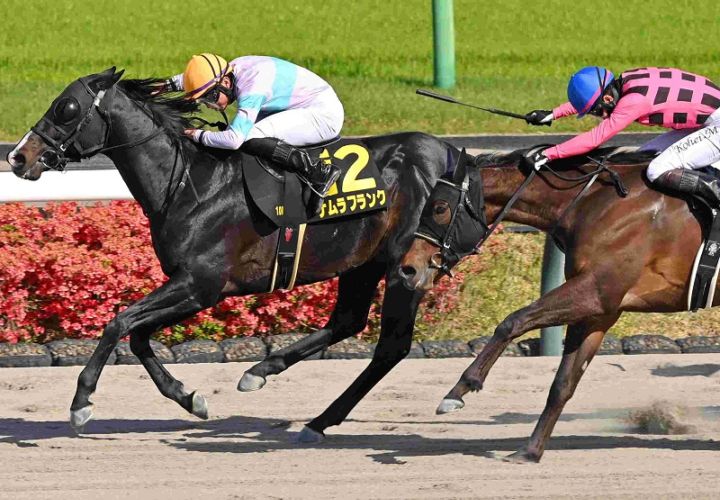 Ｒ8・京葉Sレースパネル　ナムラフランク