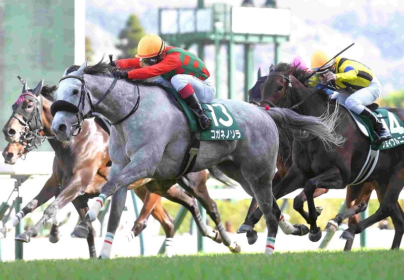 Ｒ8・福島牝馬Sレースパネル　コガネノソラ
