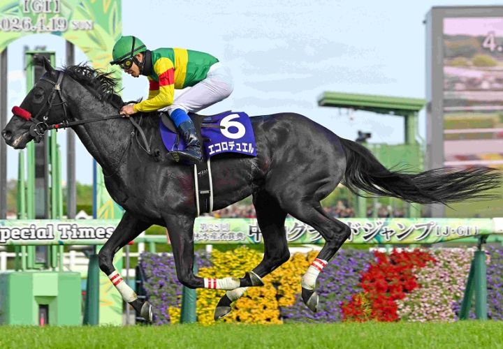 Ｒ8・中山グランドJレースパネル　エコロデュエル