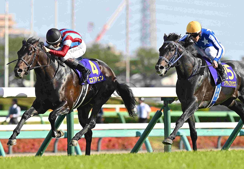 Ｒ8・皐月賞レースパネル　ロブチェン
