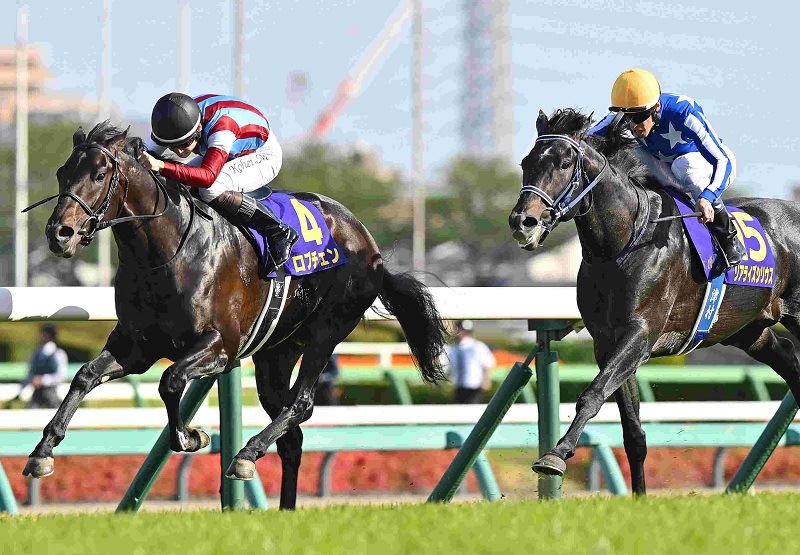 Ｒ8・皐月賞レースパネル　ロブチェン