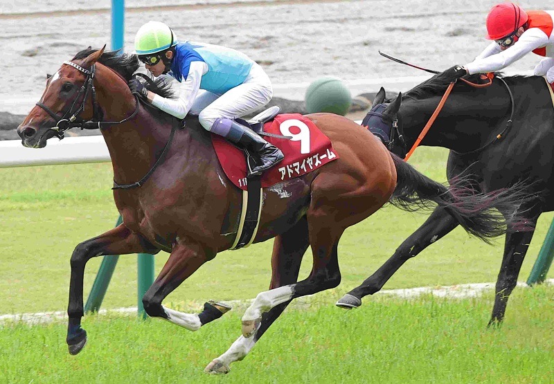 Ｒ8・マイラーズCレースパネル　アドマイヤズーム