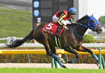 競馬,レース写真パネル | サンスポe-shop