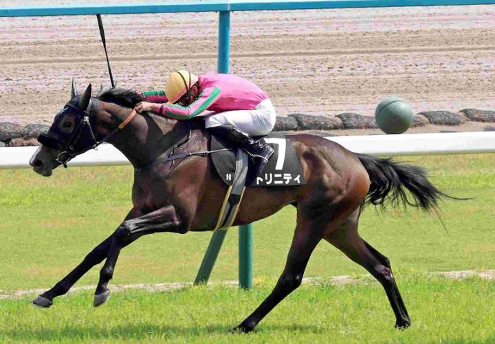 Ｒ8・矢車賞レースパネル　トリニティ