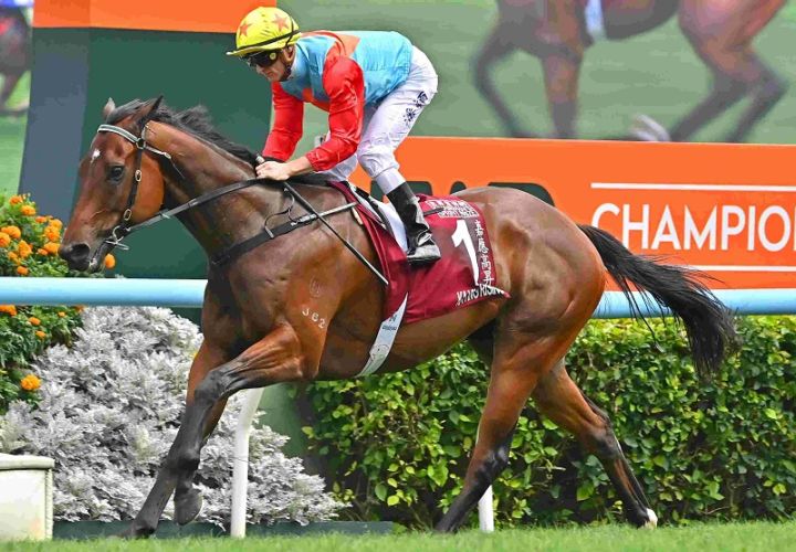 Ｒ8・チェアマンズスプリントプライズレースパネル　カーインライジング