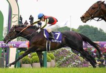 Ｒ8・天皇賞・春レースパネル　クロワデュノール
