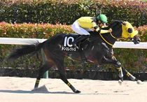 競馬,レース写真パネル | サンスポe-shop 競馬,レース写真パネル | サンスポe-shop