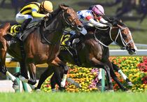Ｒ8・メトロポリタンSレースパネル　ウエストナウ