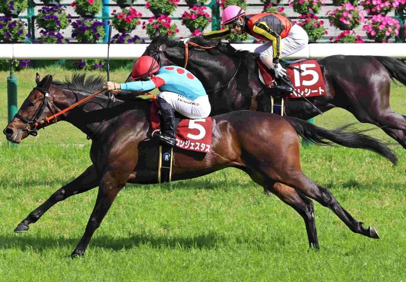 Ｒ8・京都新聞杯レースパネル　コンジェスタス