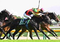 競馬,レース写真パネル | サンスポe-shop 競馬,レース写真パネル | サンスポe-shop