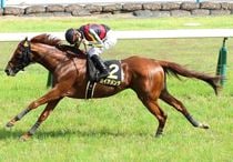 Ｒ8・都大路Sレースパネル　ガイアメンテ