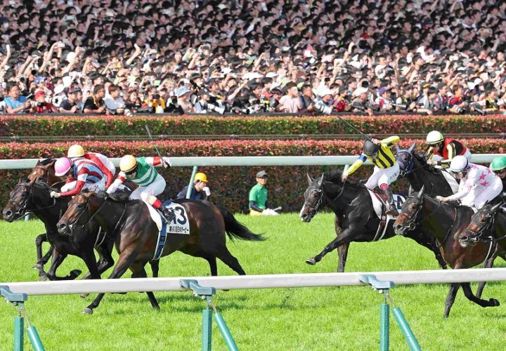 Ｒ8・日本ダービーレースパネル　ロブチェン②