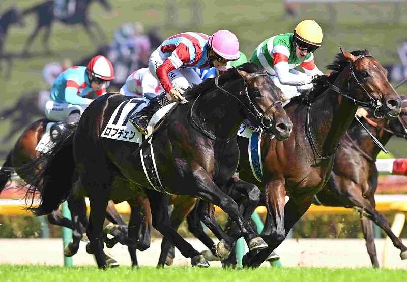 Ｒ8・日本ダービーレースパネル　ロブチェン①