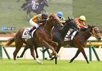 Ｒ8・メイクデビュー東京（6/6)4Rレースパネル　ラードンチェイス
