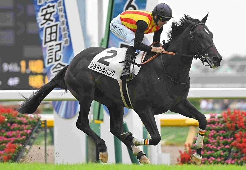 Ｒ8・メイクデビュー東京（6/7)5Rレースパネル　ジョドレルバンク