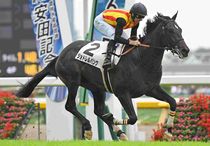 Ｒ8・メイクデビュー東京（6/7)5Rレースパネル　ジョドレルバンク