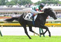 Ｒ8・メイクデビュー東京（6/6)5Rレースパネル　フィリオソラーレ