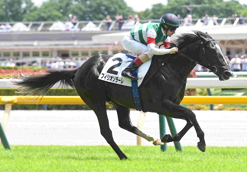 Ｒ8・メイクデビュー東京（6/6)5Rレースパネル　フィリオソラーレ