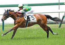 Ｒ8・メイクデビュー阪神（6/6)5Rレースパネル　ジーティーサクラ