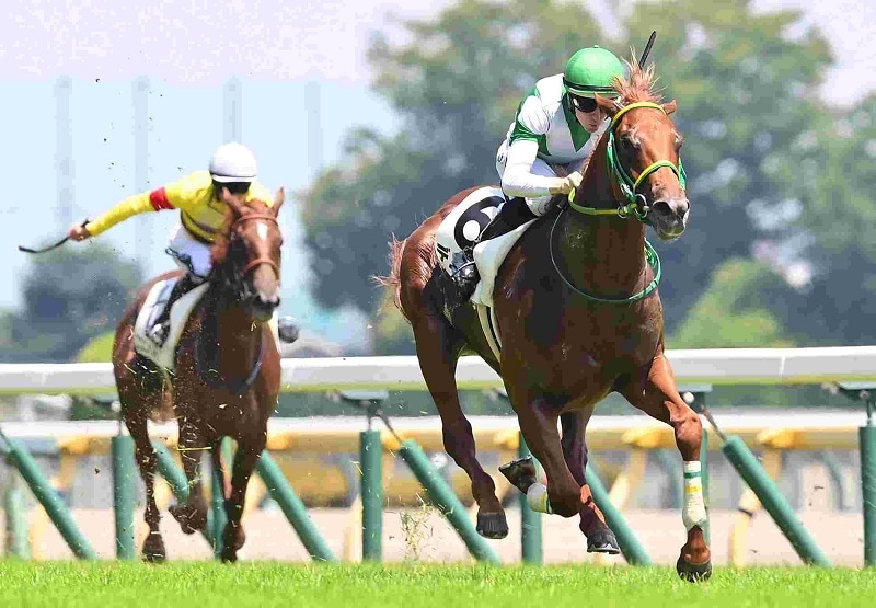 R8・メイクデビュー東京（6/13)6Rレースパネル デミアン | サンスポe-shop