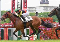 Ｒ8・メイクデビュー阪神（6/14)5Rレースパネル　インカルナータ