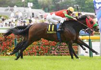 Ｒ8・パラダイスSレースパネル　マイネルチケット