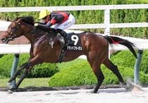 Ｒ8・三宮Sレースパネル　グランドプラージュ