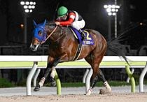 Ｒ8・東京ダービーレースパネル　フィンガー