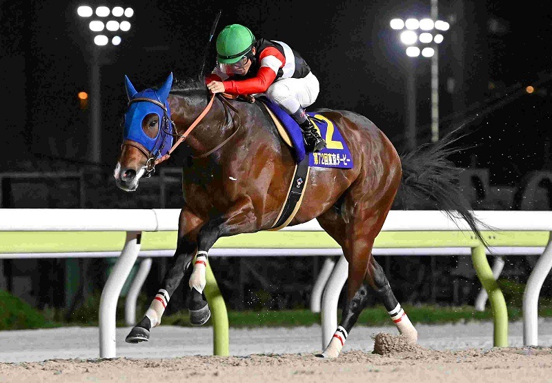 Ｒ8・東京ダービーレースパネル　フィンガー
