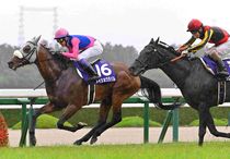 Ｒ8・宝塚記念レースパネル　メイショウタバル