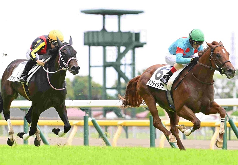 Ｒ8・メイクデビュー東京（6/21)4Rレースパネル　タクティシアン