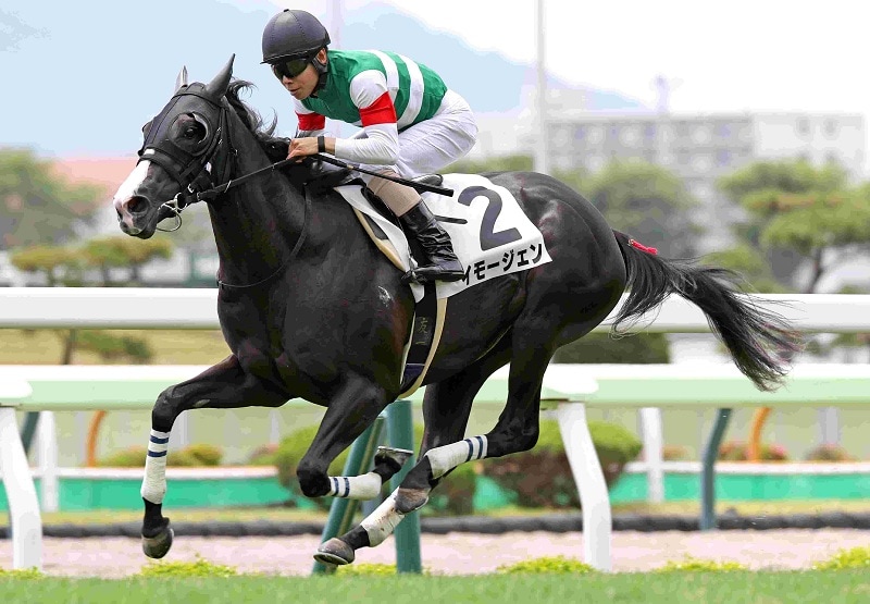 Ｒ8・メイクデビュー函館（6/20)5Rレースパネル　イモージェン