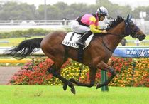 Ｒ8・メイクデビュー東京（6/20)5Rレースパネル　レッチュベルク