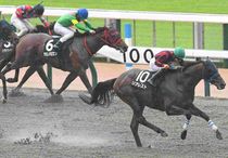 Ｒ8・スレイプニルSレースパネル　リアレスト