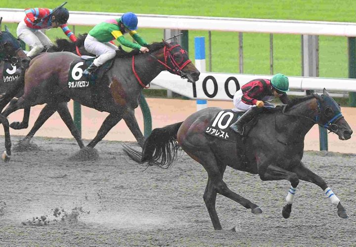 Ｒ8・スレイプニルSレースパネル　リアレスト