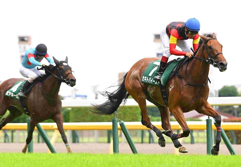 Ｒ8・府中牝馬Sレースパネル　セキトバイースト
