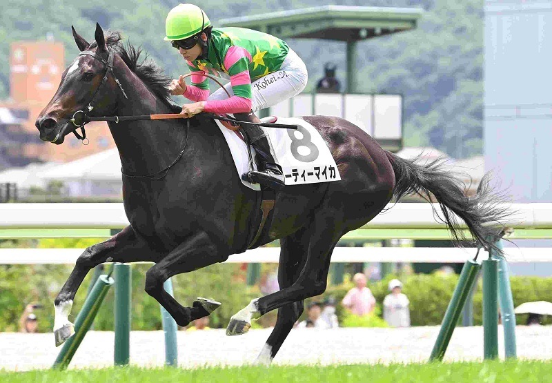 Ｒ8・メイクデビュー福島（6/28)4Rレースパネル　ジーティーマイカ