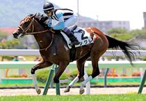 Ｒ8・メイクデビュー函館（6/28)5Rレースパネル　シグレ