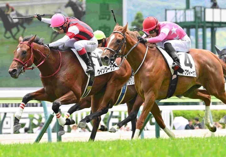 Ｒ8・メイクデビュー福島（6/28)5Rレースパネル　ウインワーグナー