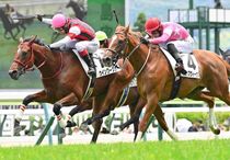 Ｒ8・メイクデビュー福島（6/28)5Rレースパネル　ウインワーグナー