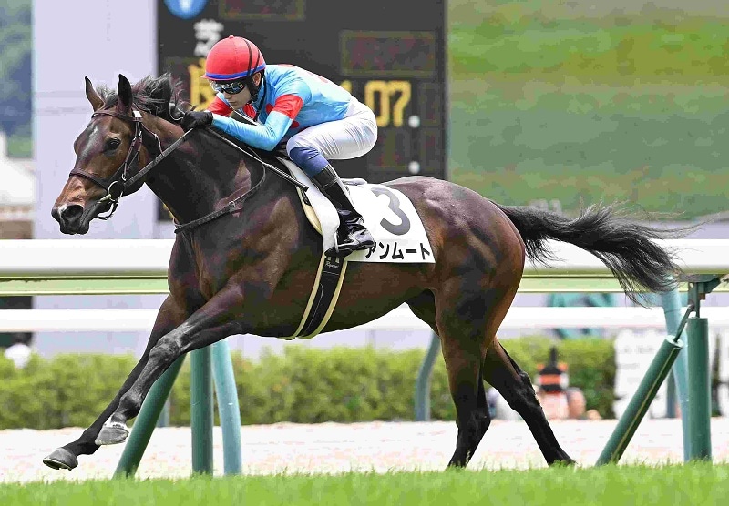 Ｒ8・メイクデビュー福島（6/27)5Rレースパネル　アンムート