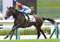Ｒ8・メイクデビュー福島（6/27)5Rレースパネル　アンムート