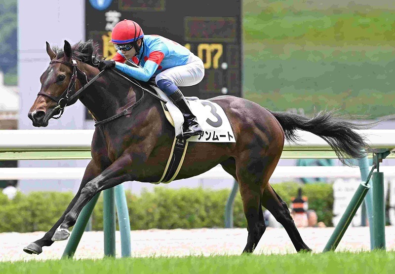 Ｒ8・メイクデビュー福島（6/27)5Rレースパネル　アンムート