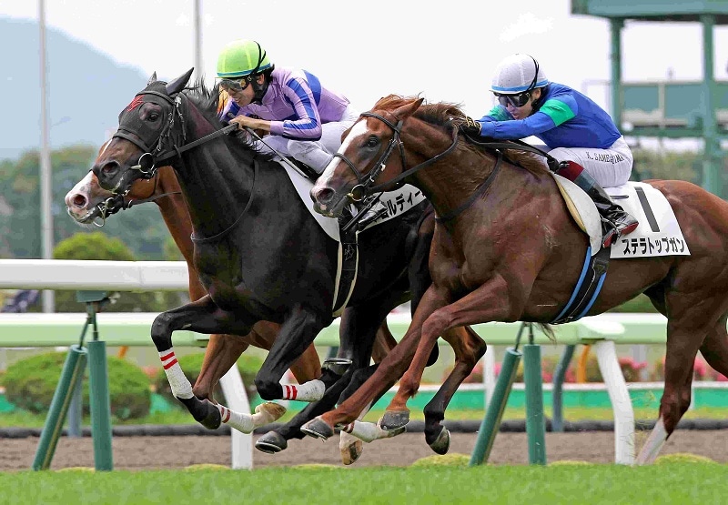 Ｒ8・メイクデビュー函館（6/27)5Rレースパネル　アゴルディーノ