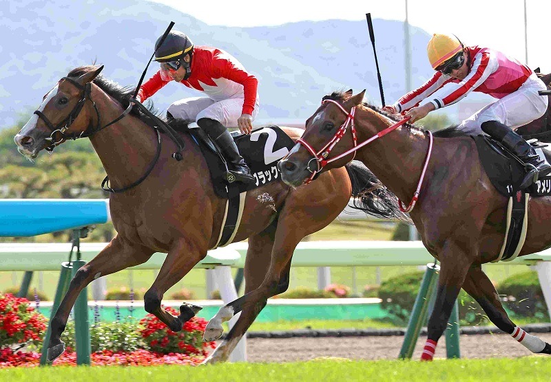 Ｒ8・青函Sレースパネル　ブラックチャリス