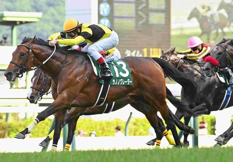 Ｒ8・ラジオNIKKEI賞レースパネル　サノノグレーター