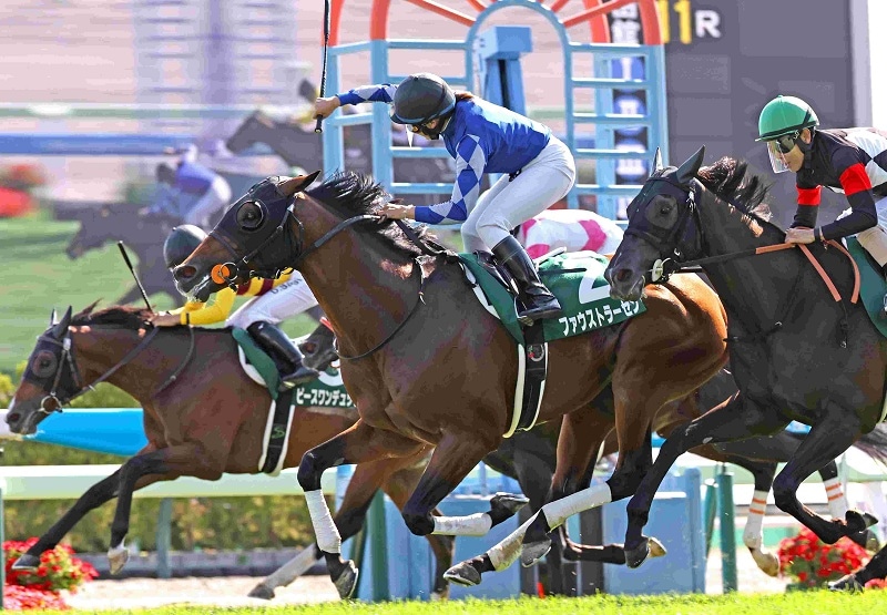 Ｒ8・函館記念レースパネル　ファウストラーゼン