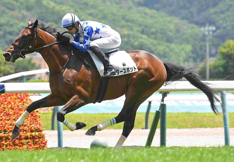 Ｒ8・メイクデビュー福島（7/4)5Rレースパネル　スタースポット